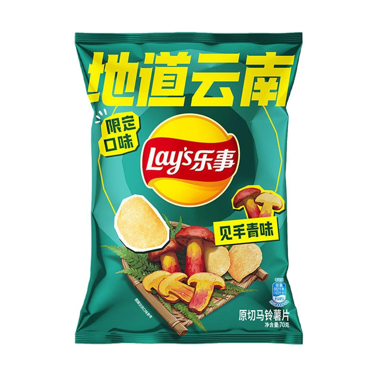 Lay's Wild Porcini Mushroom